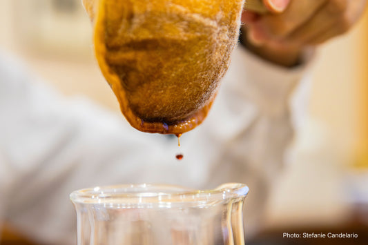 A drop of coffee falling from a nel-drip filter